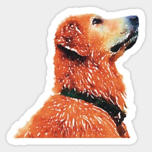 Golden Retriever Excited Sticker